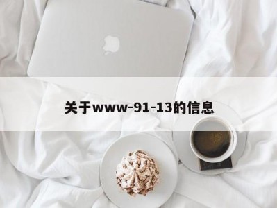 关于www-91-13的信息