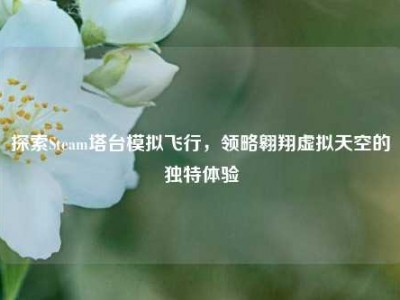 探索Steam塔台模拟飞行，领略翱翔虚拟天空的独特体验