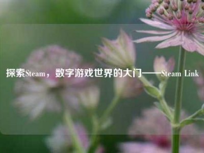探索Steam，数字游戏世界的大门——Steam Link