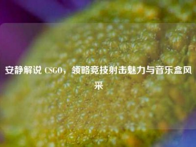 安静解说 CSGO，领略竞技射击魅力与音乐盒风采