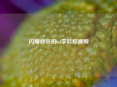 闪耀峡谷的lol李欣欣视频