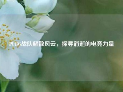 PUBG战队解散风云，探寻消逝的电竞力量