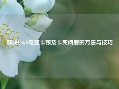 解决CSGO电脑卡顿及卡死问题的方法与技巧