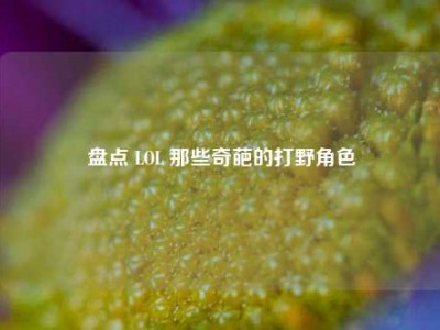 盘点 LOL 那些奇葩的打野角色