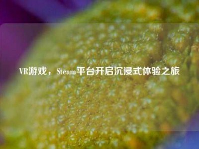 VR游戏，Steam平台开启沉浸式体验之旅