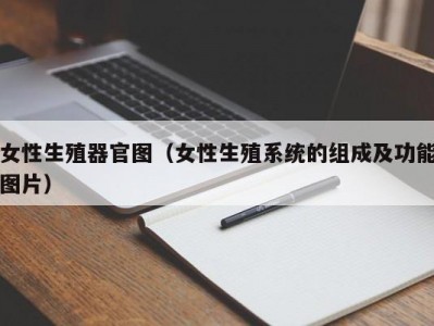 女性生殖器官图（女性生殖系统的组成及功能图片）