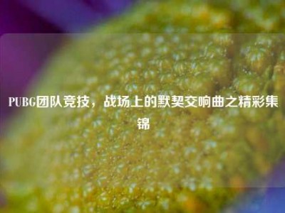 PUBG团队竞技，战场上的默契交响曲之精彩集锦