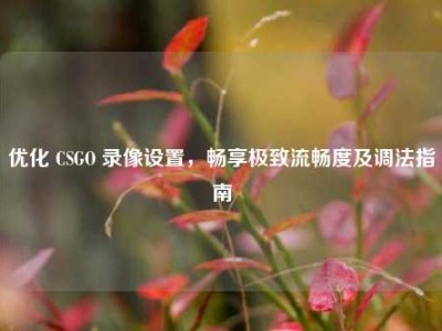 优化 CSGO 录像设置，畅享极致流畅度及调法指南