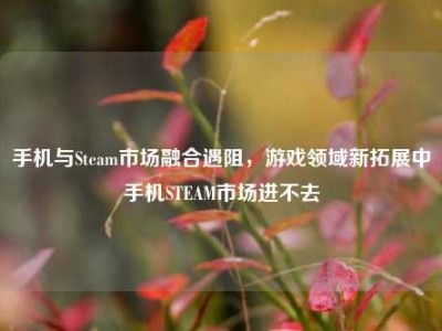 手机与Steam市场融合遇阻，游戏领域新拓展中手机STEAM市场进不去