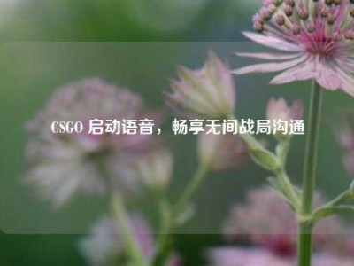 CSGO 启动语音，畅享无间战局沟通