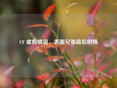 CF 虚假情谊，表面兄弟背后的殇