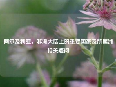 阿尔及利亚，非洲大陆上的重要国家及所属洲相关疑问
