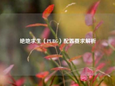 绝地求生（PUBG）配置要求解析