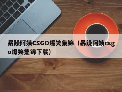 暴躁阿姨CSGO爆笑集锦（暴躁阿姨csgo爆笑集锦下载）