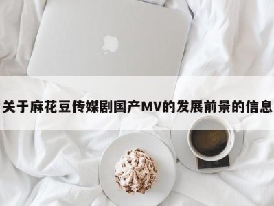 关于麻花豆传媒剧国产MV的发展前景的信息