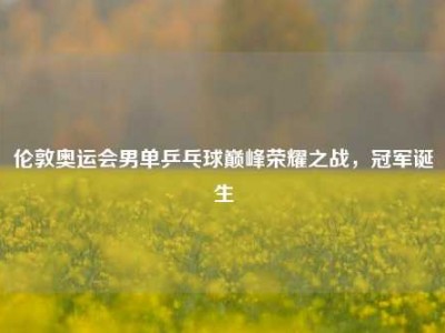 伦敦奥运会男单乒乓球巅峰荣耀之战，冠军诞生