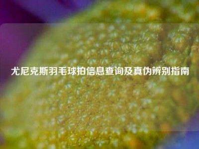 尤尼克斯羽毛球拍信息查询及真伪辨别指南