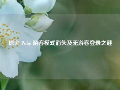 探究 Pubg 游客模式消失及无游客登录之谜