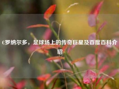 C罗纳尔多，足球场上的传奇巨星及百度百科介绍