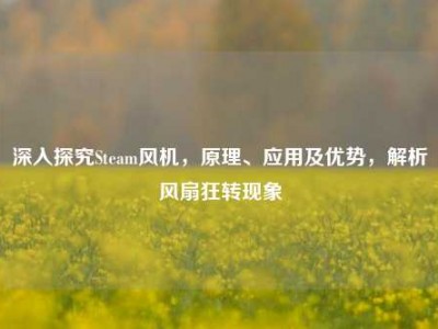 深入探究Steam风机，原理、应用及优势，解析风扇狂转现象