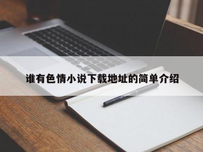 谁有色情小说下载地址的简单介绍