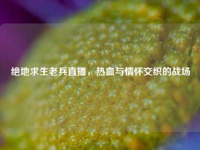 绝地求生老兵直播，热血与情怀交织的战场