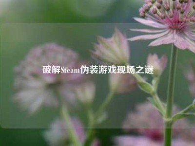 破解Steam伪装游戏现场之谜