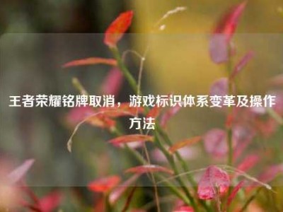 王者荣耀铭牌取消，游戏标识体系变革及操作方法