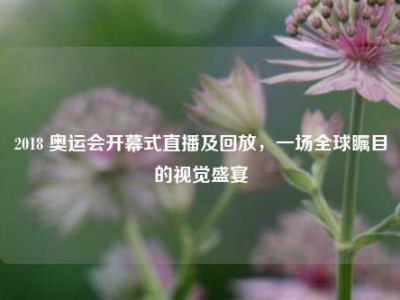 2018 奥运会开幕式直播及回放，一场全球瞩目的视觉盛宴