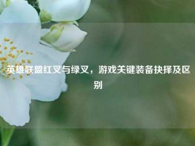 英雄联盟红叉与绿叉，游戏关键装备抉择及区别