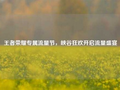 王者荣耀专属流量节，峡谷狂欢开启流量盛宴