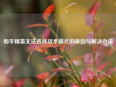 和平精英无法选择战术模式的原因与解决办法