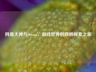 网易大神与Steam，游戏世界的双栖探索之旅
