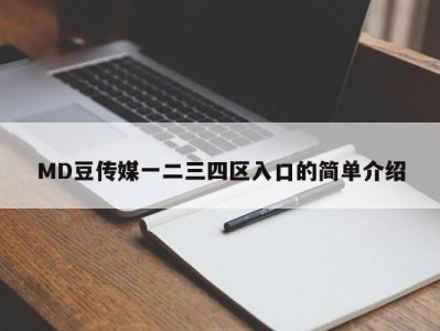 MD豆传媒一二三四区入口的简单介绍