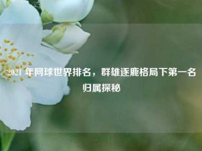 2021 年网球世界排名，群雄逐鹿格局下第一名归属探秘