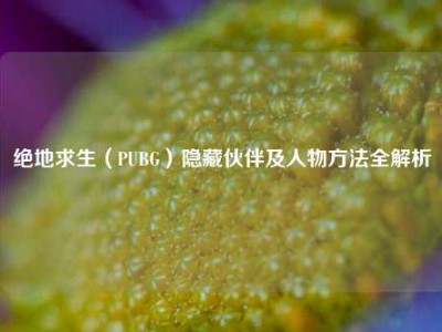 绝地求生（PUBG）隐藏伙伴及人物方法全解析