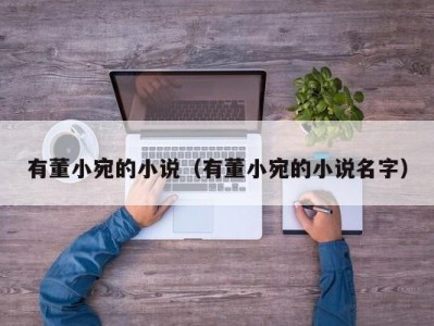 有董小宛的小说（有董小宛的小说名字）
