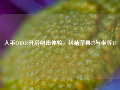 入手COD16开启射击体验，纠结苹果17与坐等18