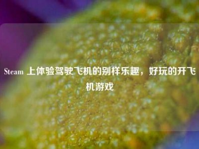 Steam 上体验驾驶飞机的别样乐趣，好玩的开飞机游戏