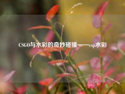 CSGO与水彩的奇妙碰撞——csp水彩