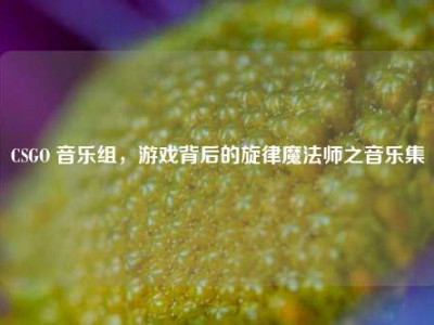 CSGO 音乐组，游戏背后的旋律魔法师之音乐集