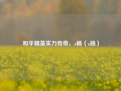 和平精英实力传奇，a杨（a扬）