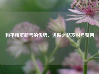 和平精英新号的优势、进阶之路及封号疑问