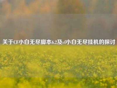 关于CF小白无尽脚本6.2及cf小白无尽挂机的探讨