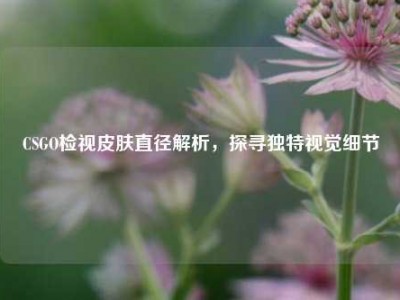 CSGO检视皮肤直径解析，探寻独特视觉细节