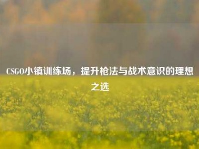 CSGO小镇训练场，提升枪法与战术意识的理想之选