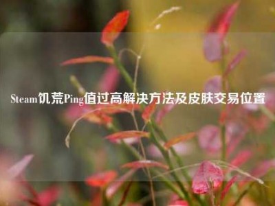 Steam饥荒Ping值过高解决方法及皮肤交易位置