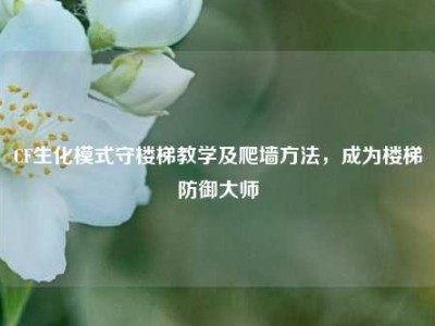 CF生化模式守楼梯教学及爬墙     ，成为楼梯防御大师
