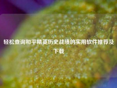 轻松查询和平精英历史战绩的实用软件推荐及下载