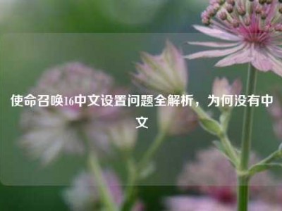 使命召唤16中文设置问题全解析，为何没有中文